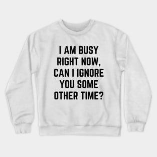 I am busy right now, can I ignore you some other time Crewneck Sweatshirt